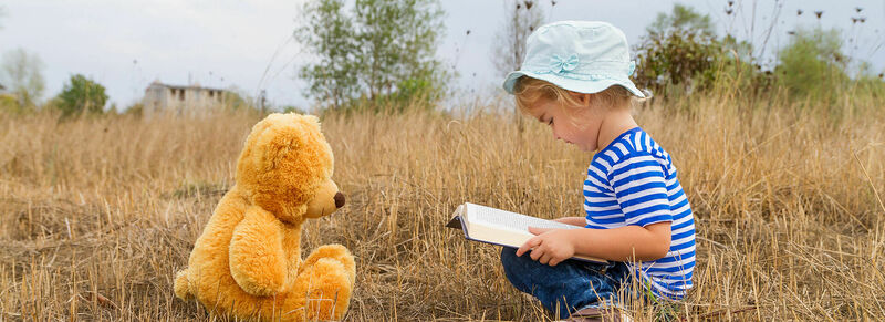 Web Story Basics Webinar