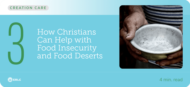 3 Food Insecurity